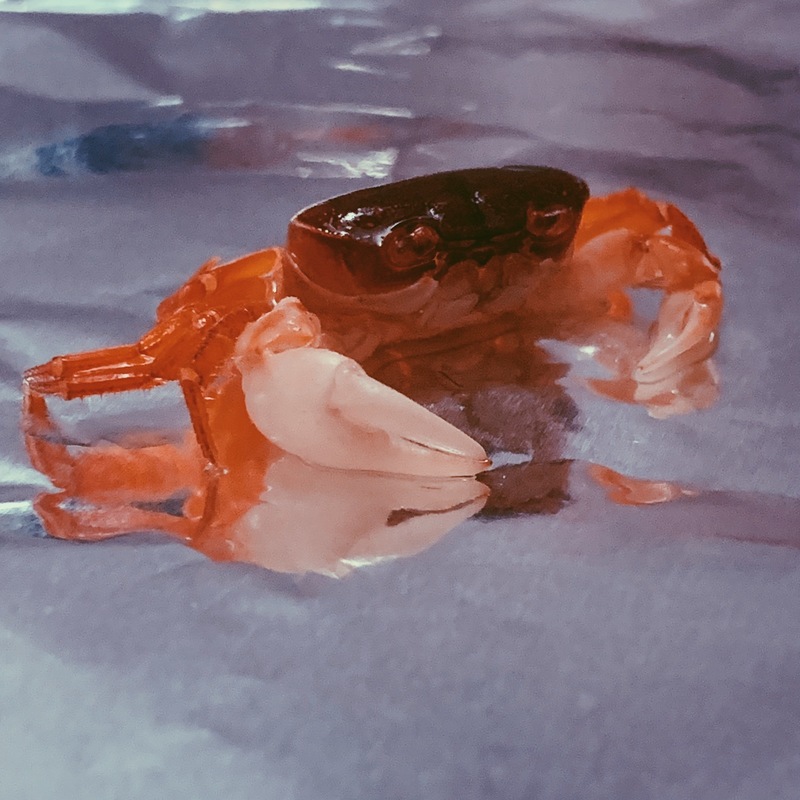 silver ジャケット画像